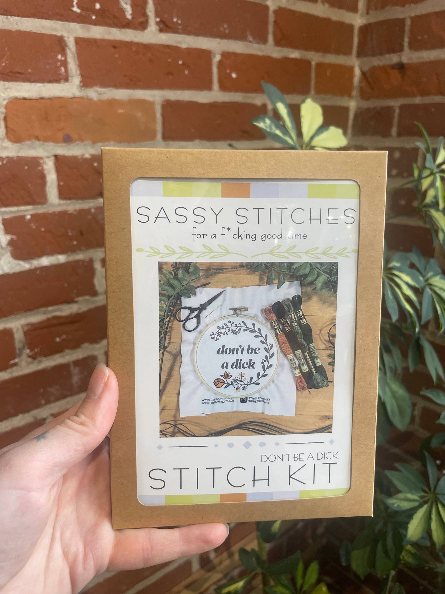 DIY Stitch Kit - Don't Be a Dick - Sassy Embroidery Kit
