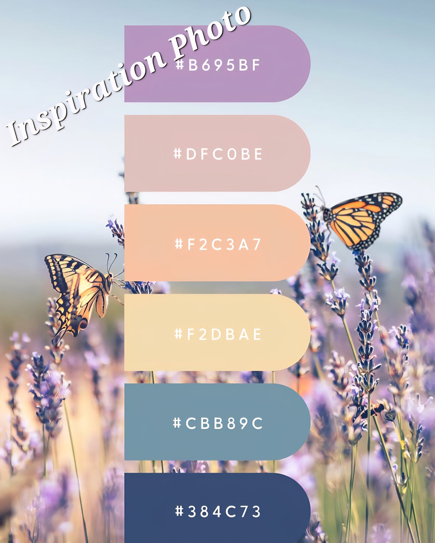 Hand Dyed Yarn & Fiber - Meadow